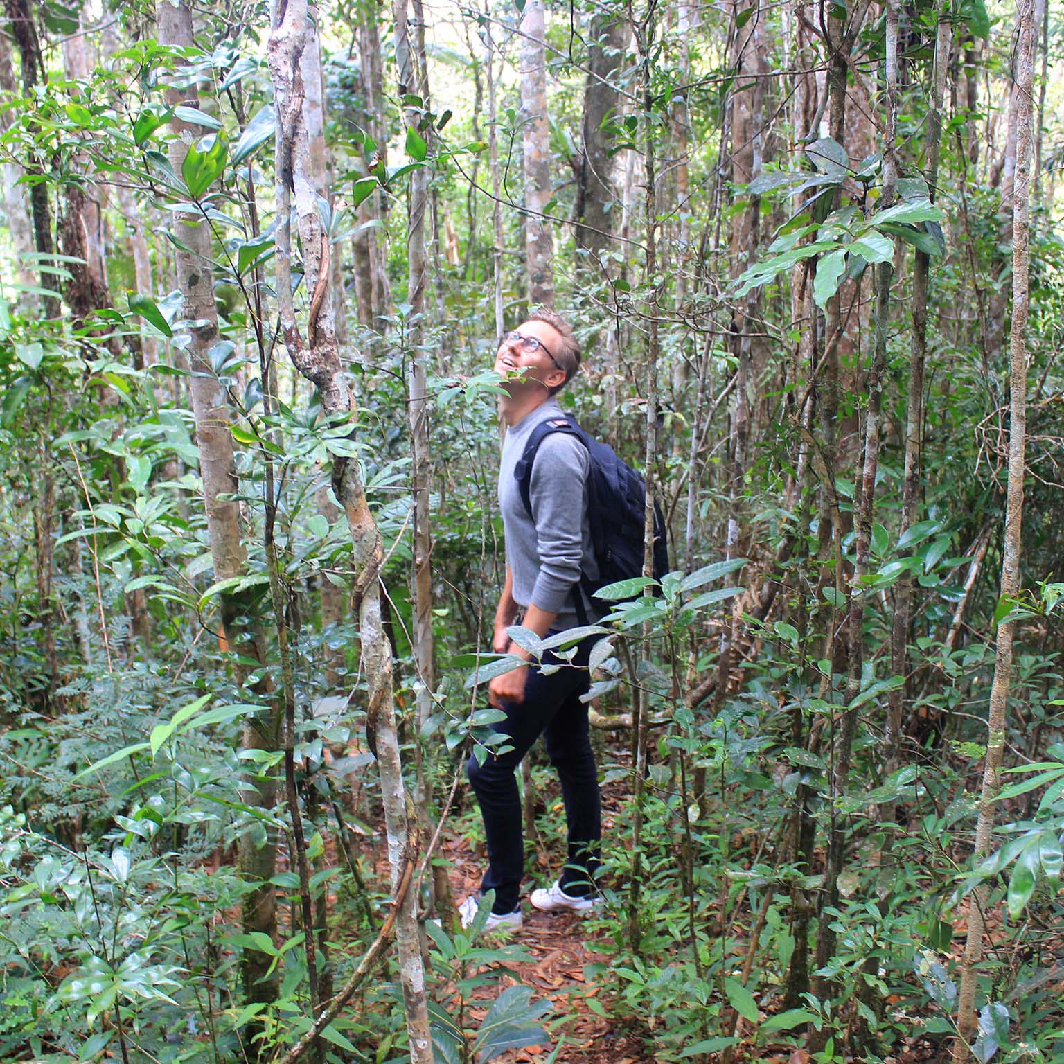 Paul Germany McKinsey & Company